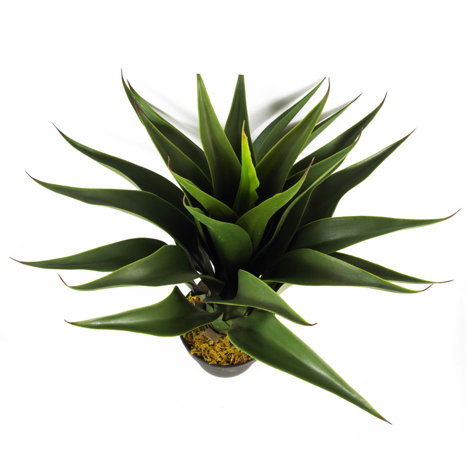 Artificial Yukka Tropical Plastic Pot 55cm Plants