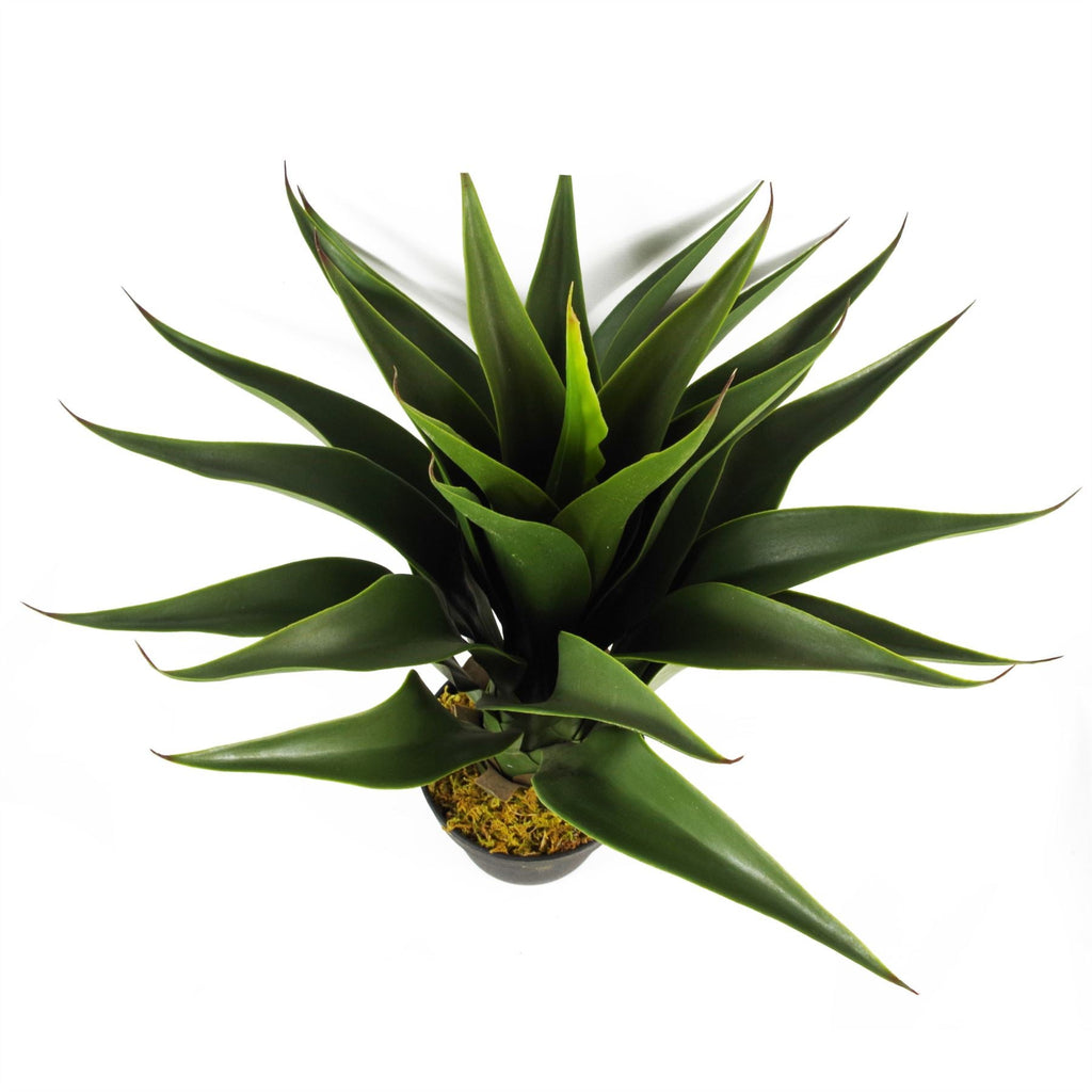 Artificial Yukka Tropical Plastic Pot 55cm Plants